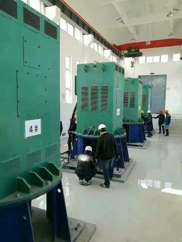 YKK6302-10某污水处理厂使用我厂的立式高压电机安装现场